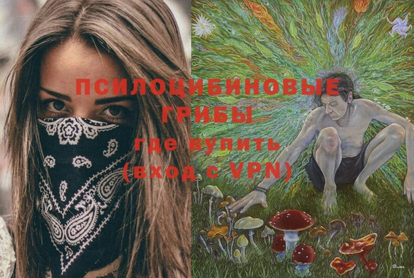 a pvp Покачи