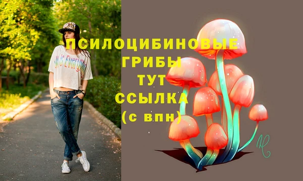 дживик Медногорск