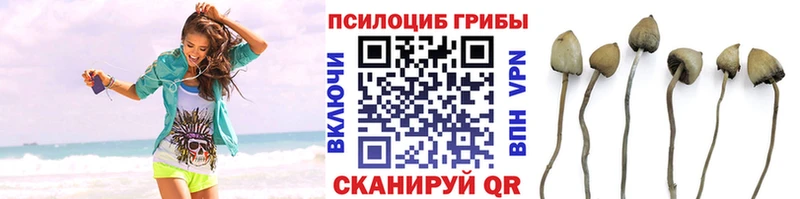Галлюциногенные грибы MAGIC MUSHROOMS  блэк спрут как войти  Чкаловск 